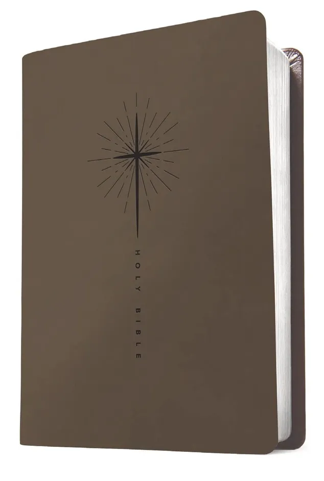 Anglais, Bible New Living Translation, souple, similicuir, gris taupe