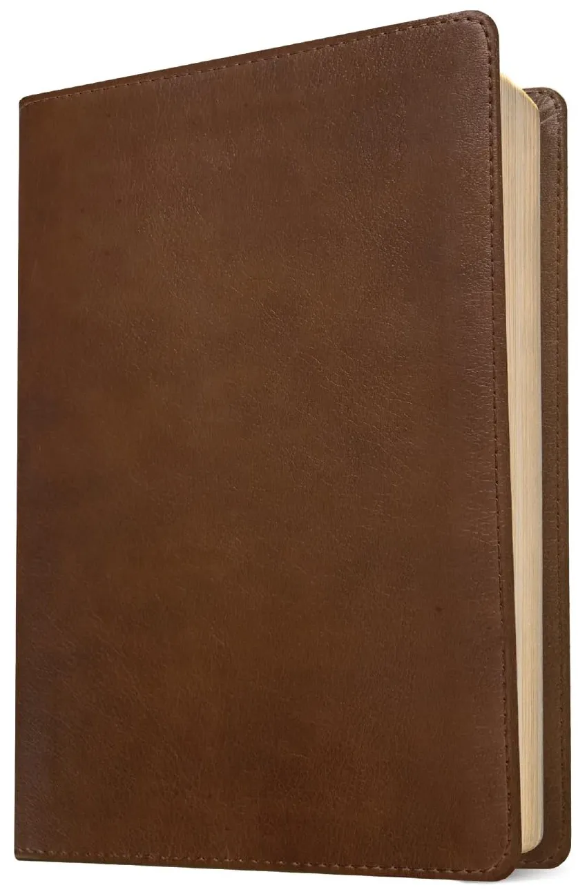 Anglais, Bible New Living Translation, grands caractères, similicuir, brune