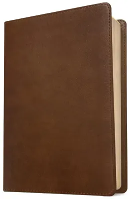 Anglais, Bible New Living Translation, grands caractères, similicuir, brune