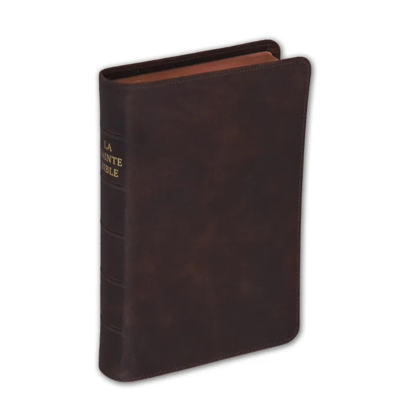 Bible Darby édition de Rolle, format moyen, cuir brun, souple, tranche dorée