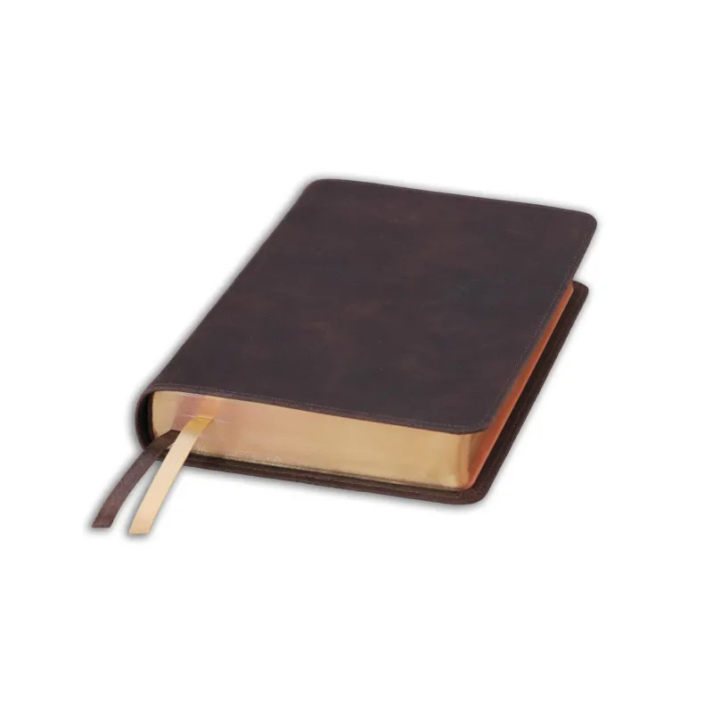 Bible Darby édition de Rolle, format moyen, cuir brun, souple, tranche dorée