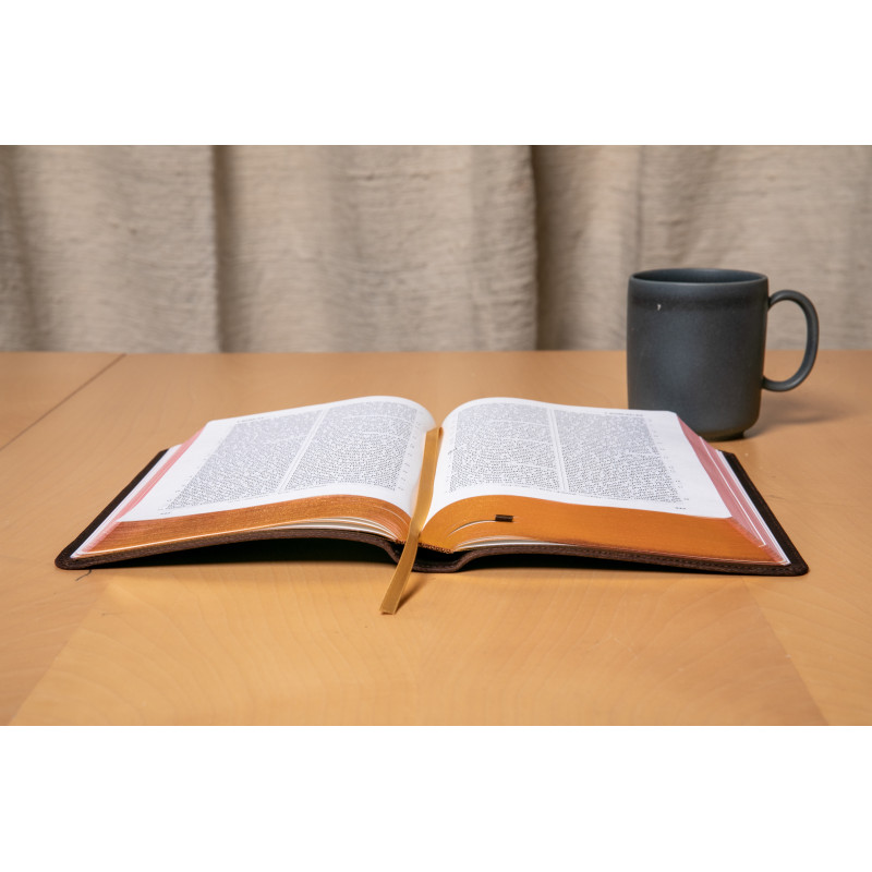 Bible Darby édition de Rolle, format moyen, cuir brun, souple, tranche dorée