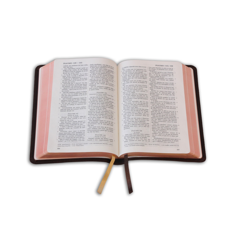 Bible Darby édition de Rolle, format moyen, cuir brun, souple, tranche dorée