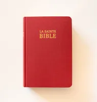 Bible Darby édition de Rolle, format moyen, textile bordeaux, semi-rigide, tranche or
