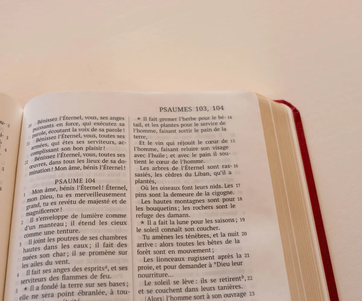 Bible Darby édition de Rolle, format moyen, textile bordeaux, semi-rigide, tranche or