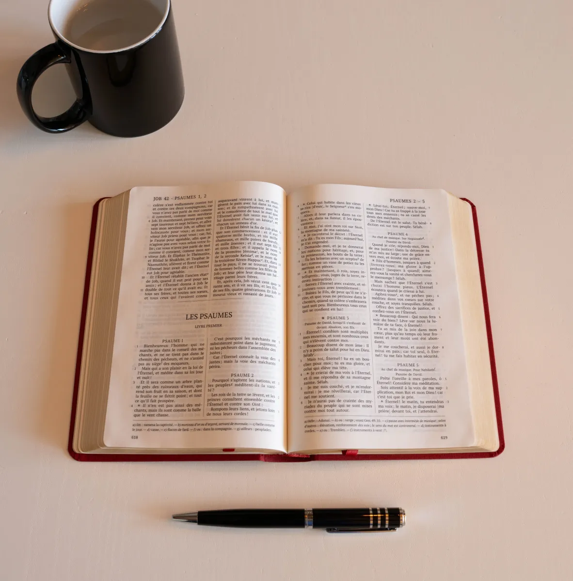 Bible Darby édition de Rolle, format moyen, textile bordeaux, semi-rigide, tranche or