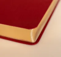 Bible Darby édition de Rolle, format moyen, textile bordeaux, semi-rigide, tranche or