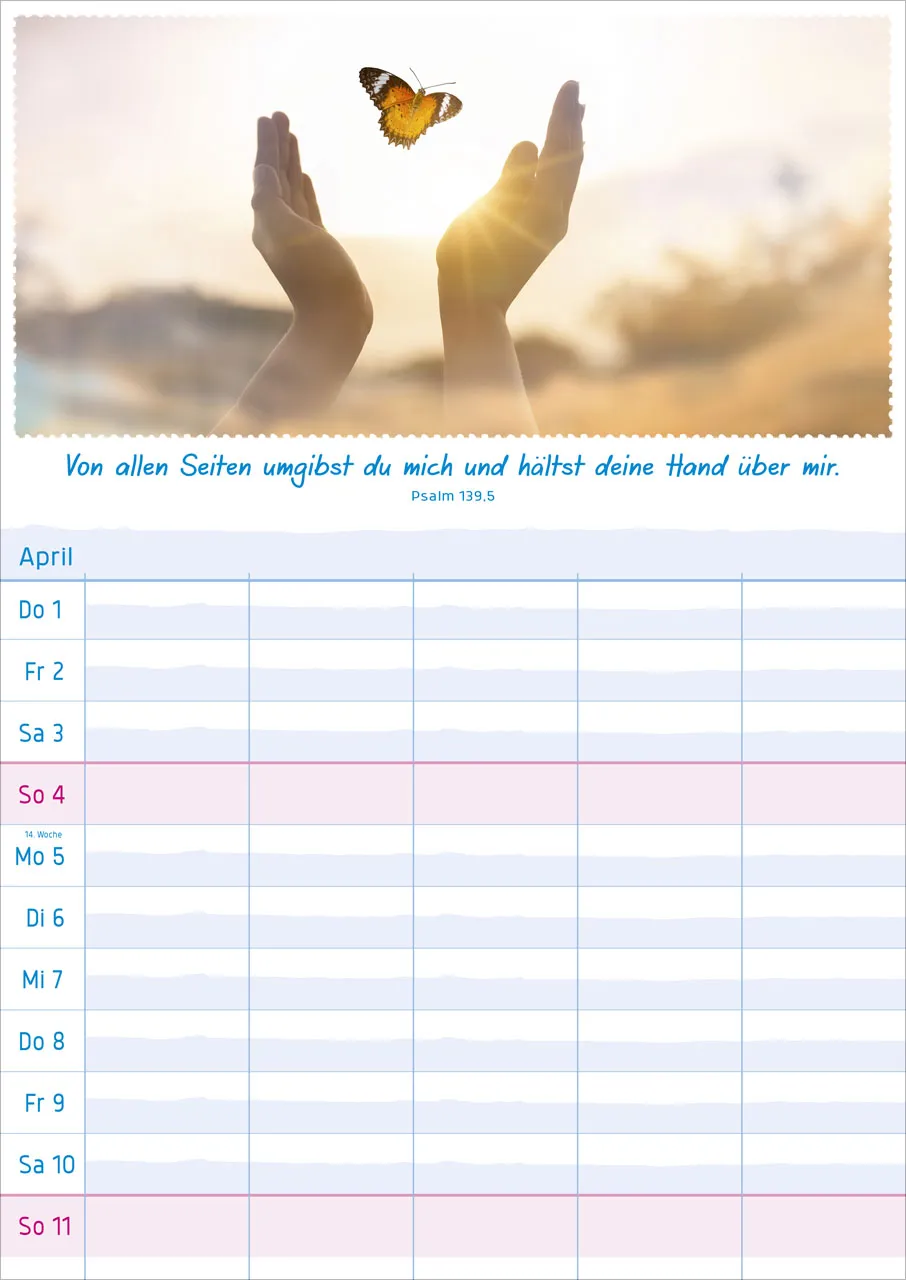Multiplaner - Für Familien und Arbeitsgruppen - Posterkalender