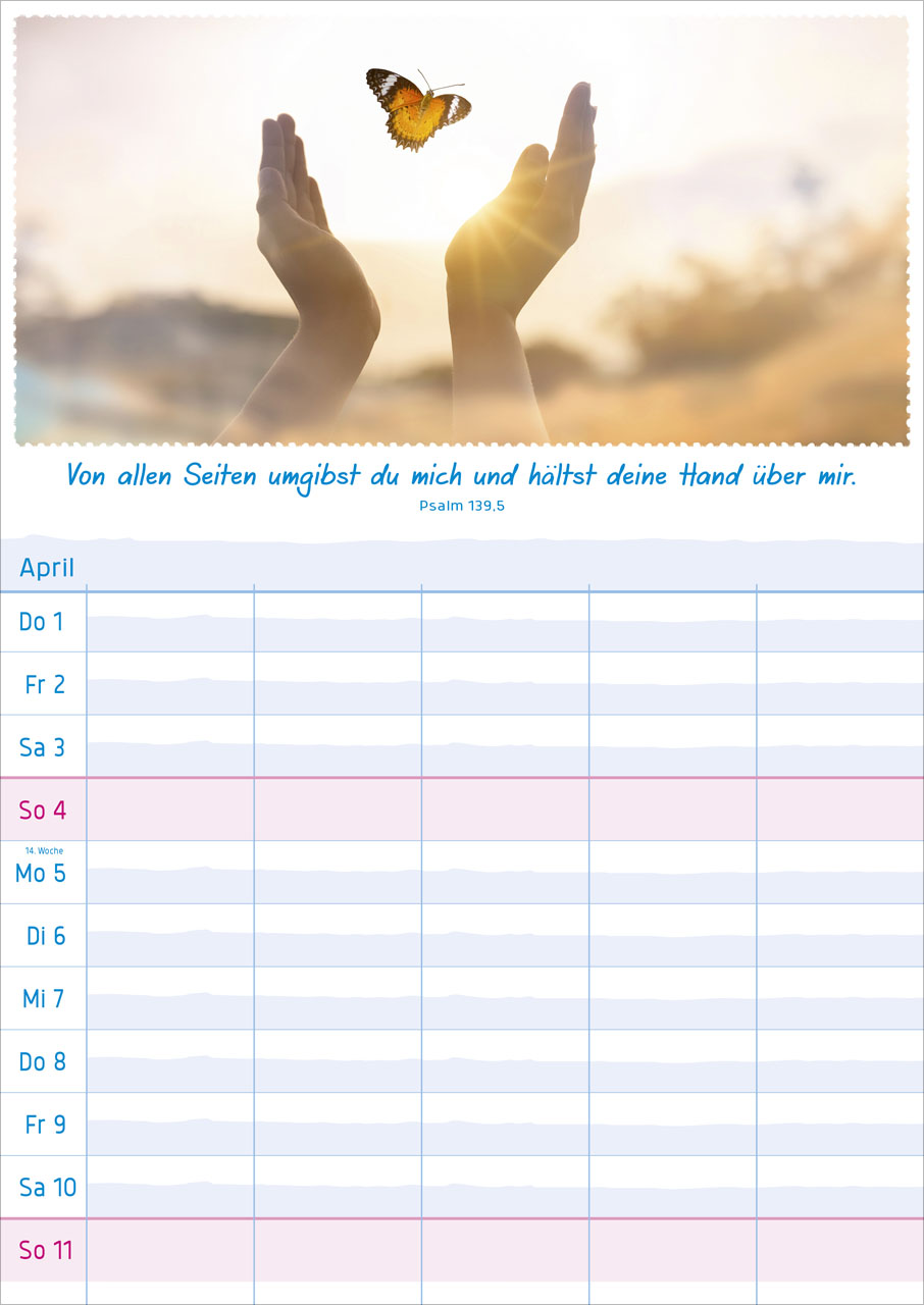 Multiplaner - Für Familien und Arbeitsgruppen - Posterkalender