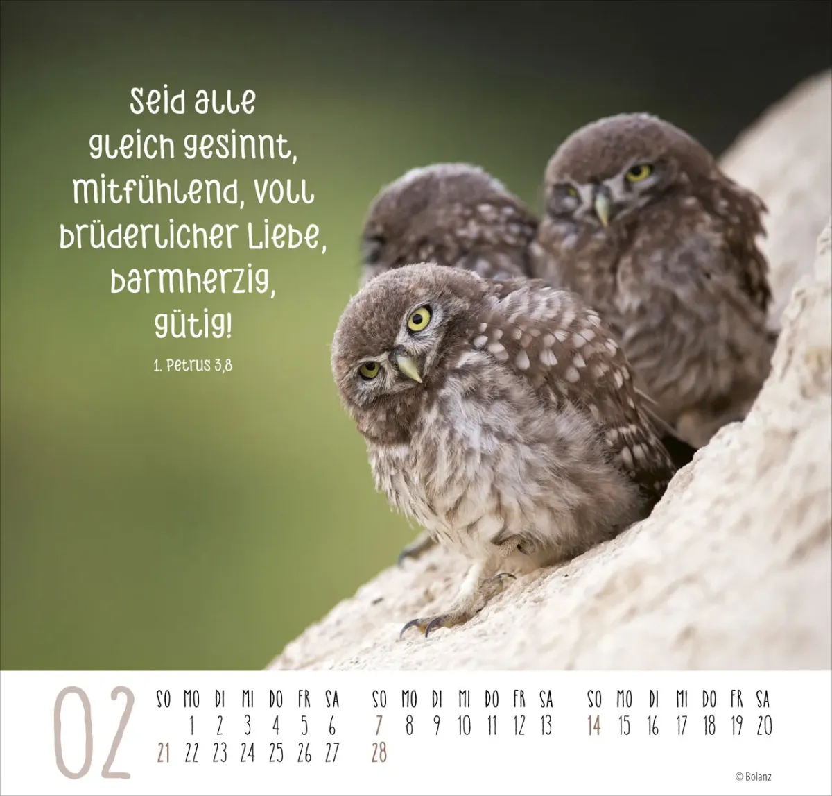 Beste Freunde - Ich mag dich - Posterkalender