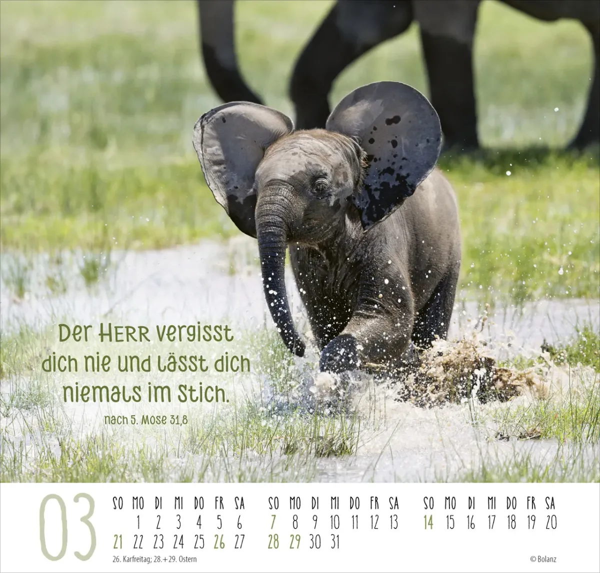 Beste Freunde - Ich mag dich - Posterkalender