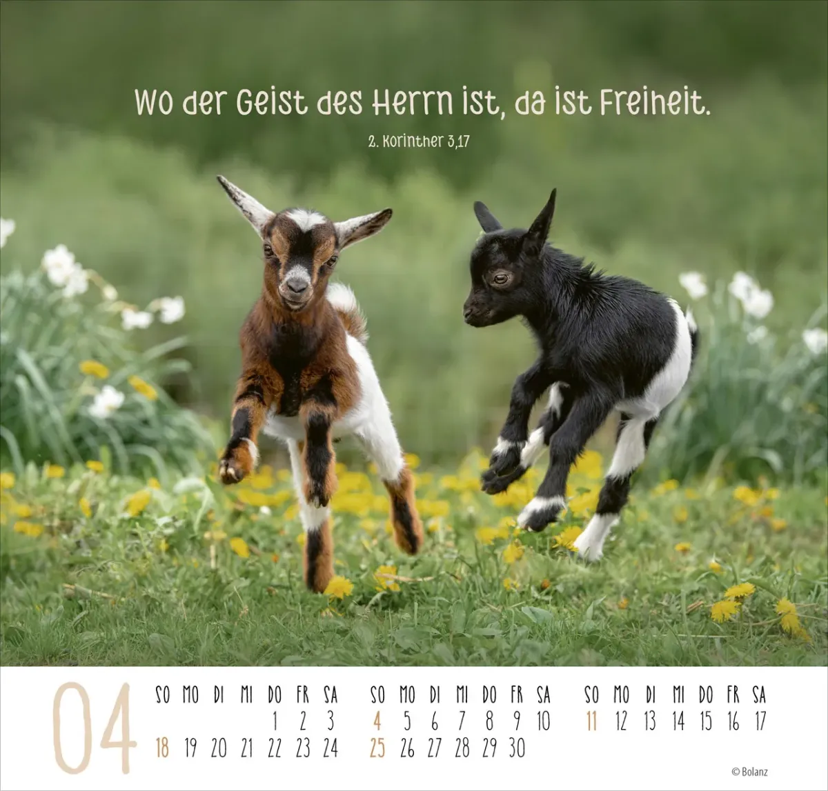 Beste Freunde - Ich mag dich - Posterkalender