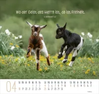 Beste Freunde - Ich mag dich - Posterkalender