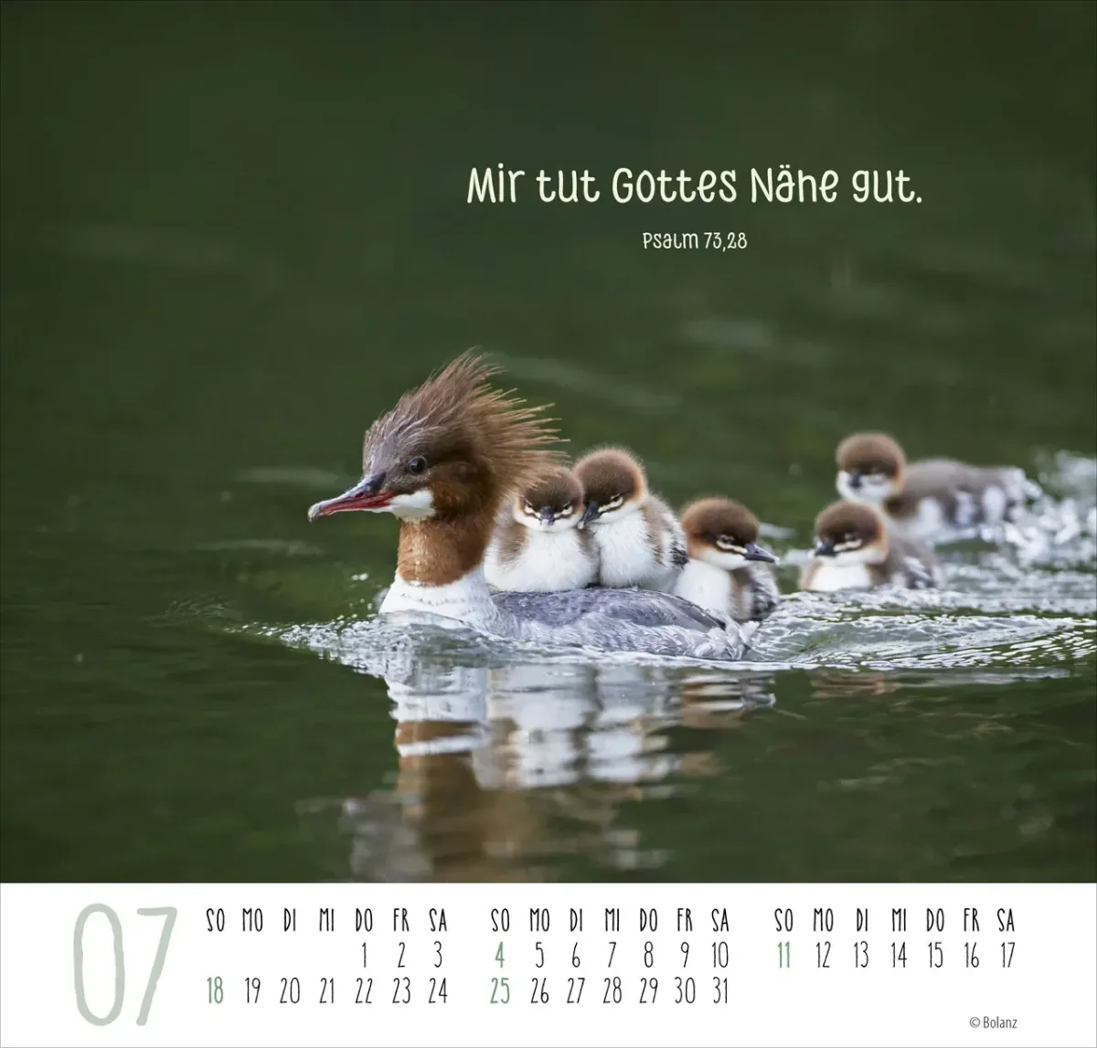 Beste Freunde - Ich mag dich - Posterkalender