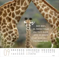 Beste Freunde - Ich mag dich - Posterkalender