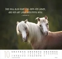 Beste Freunde - Ich mag dich - Posterkalender