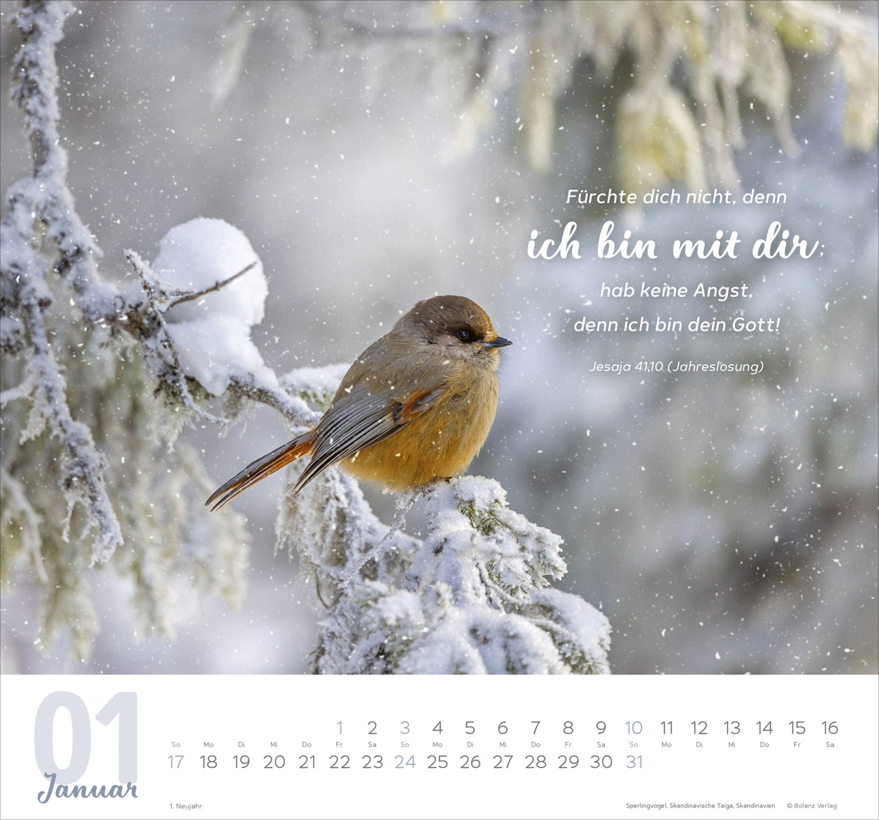 Meine Zeit - Hoffnung und Vertrauen für ein ganzes Jahr - Wandkalender