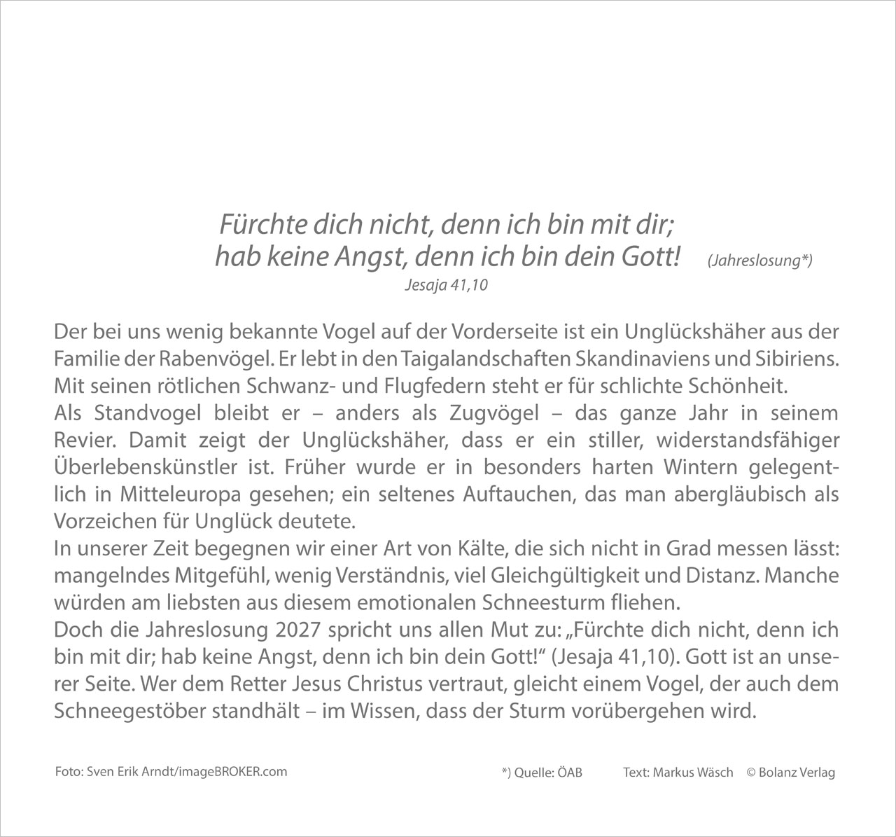 Meine Zeit - Hoffnung und Vertrauen für ein ganzes Jahr - Wandkalender