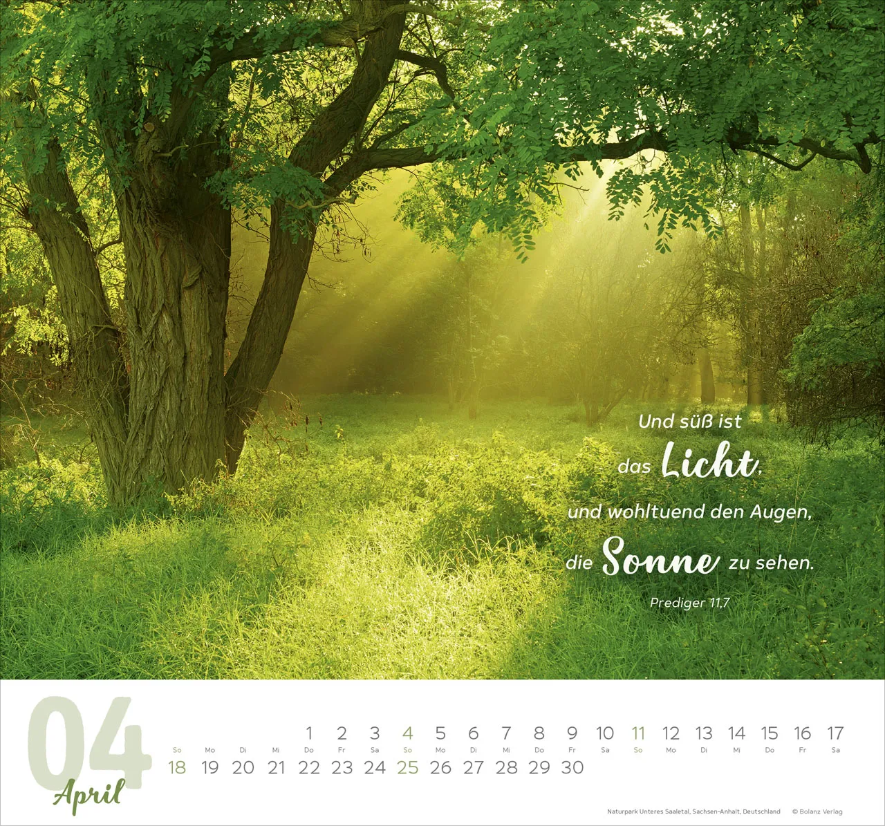 Meine Zeit - Hoffnung und Vertrauen für ein ganzes Jahr - Wandkalender