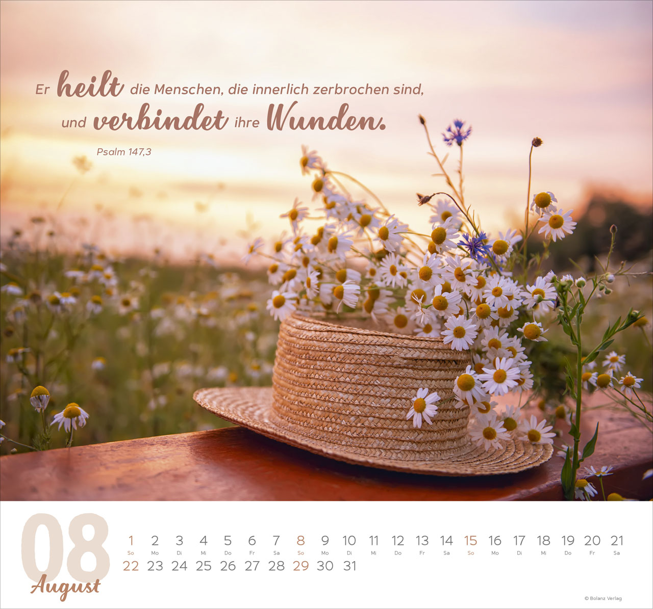 Meine Zeit - Hoffnung und Vertrauen für ein ganzes Jahr - Wandkalender
