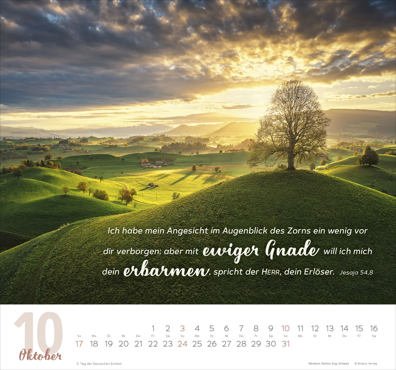 Meine Zeit - Hoffnung und Vertrauen für ein ganzes Jahr - Wandkalender