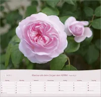 Rosen - Wandkalender