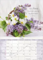 Momente der Freude - Posterkalender