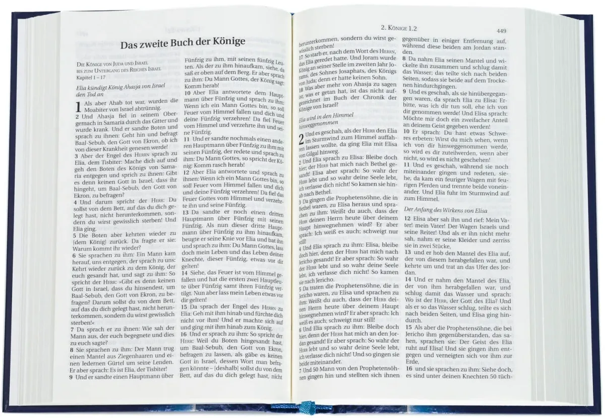 Schlachter 2000 - Taschenausgabe, Hardcover, illustrierter Einband, ohne Parallelstellen,...