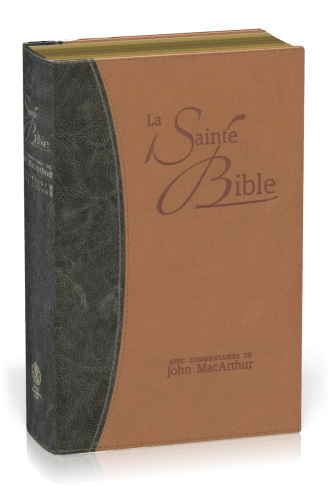 Bible d'étude Segond NEG MacArthur, duo bleu et marron - couverture souple, vivella, tranche or 
