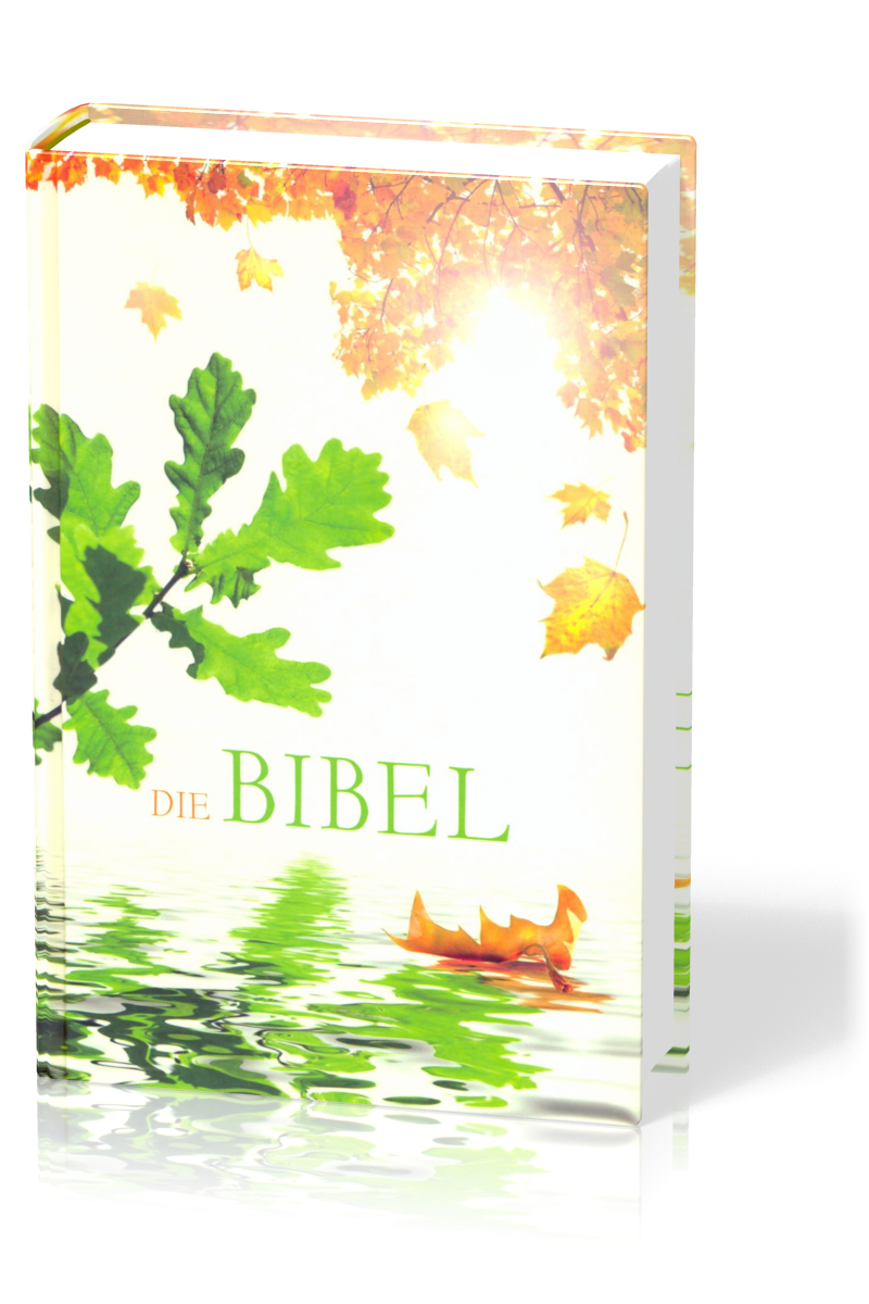 Allemand, Bible Schlachter 2000 «feuilles», reliée