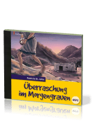 Überraschung im Morgengrauen - Hörbuch MP3-CD