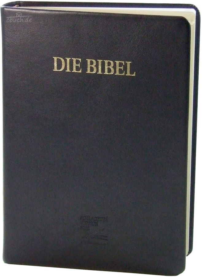 Allemand, Bible Schlachter 2000, grandes lettres, cuir, tranche or, noire, reliure cousue
