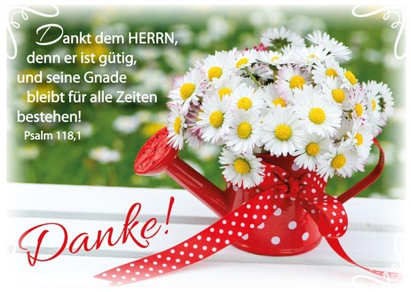 PK DANKE MARGERITEN, 12 STÜCK - POSTKARTE