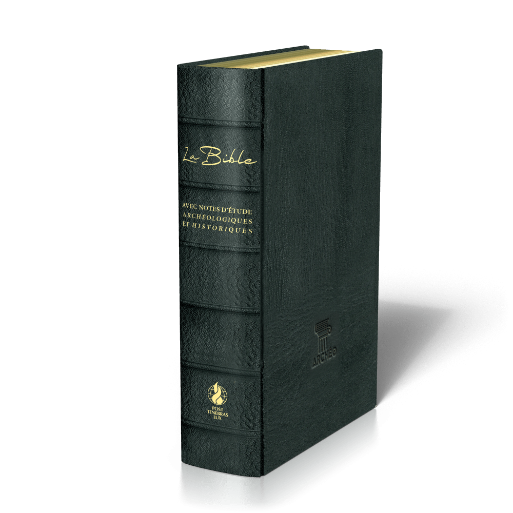 Bible Segond 21 «archéo», noire - couverture souple, cuir véritable, tranches dorées, avec notes...