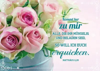 PK ROSEN IN KANNE, 12 STÜCK - POSTKARTE