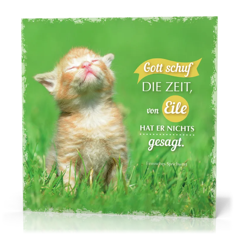 Metalltafel Gott schuf die Zeit/Katze - 13 x 13 cm