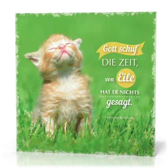 Metalltafel Gott schuf die Zeit/Katze - 13 x 13 cm