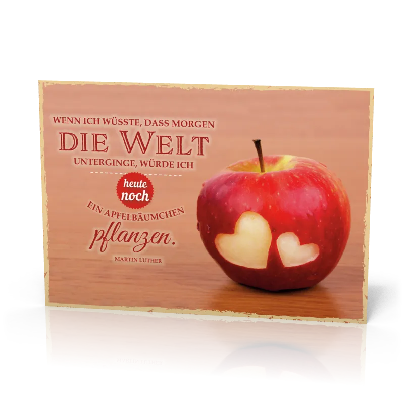 Postkarten 12 Stk.: Wenn ich wüsste, dass