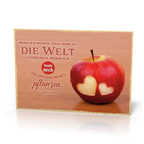 Postkarten 12 Stk.: Wenn ich wüsste, dass