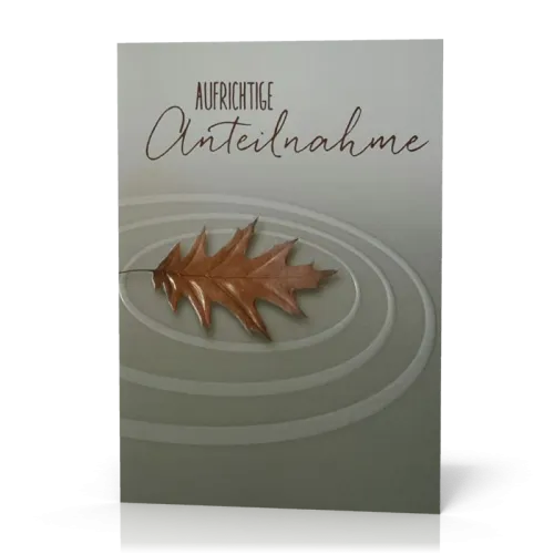 Doppelkarte Trauer Prägung Blatt PG6