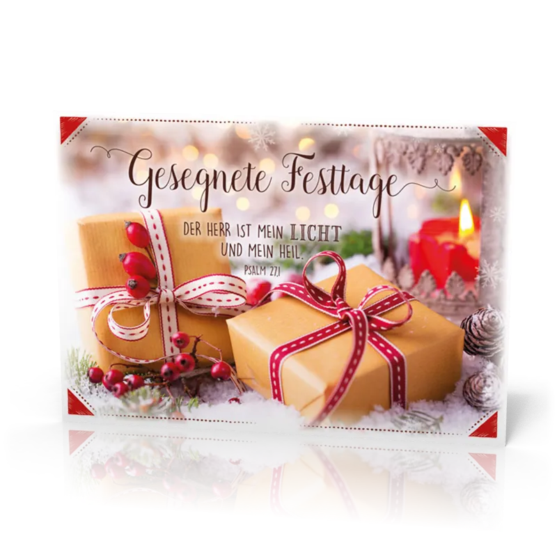 PK 12 Stück Hagebutte am Päckchen