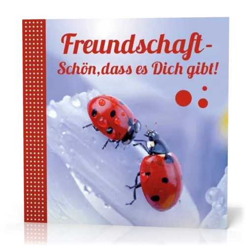 Minibuch 7 x 7 cm Freundschaft