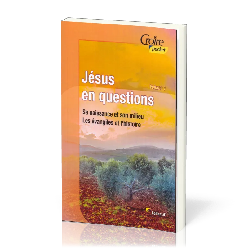 Jésus en questions - Volume 1 - Sa naissance et son milieu. Les évangiles et l'histoire