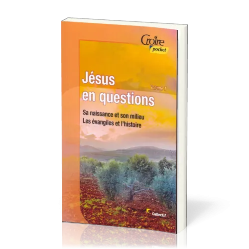 Jésus en questions - Volume 1 - Sa naissance et son milieu. Les évangiles et l'histoire