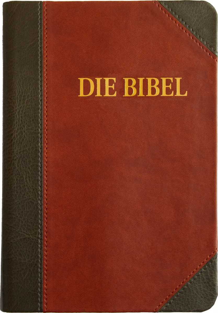 Schlachter 2000 - Standardausgabe (PU-Einband, grau/braun) Fadenheftung / neue Rechtschreibung