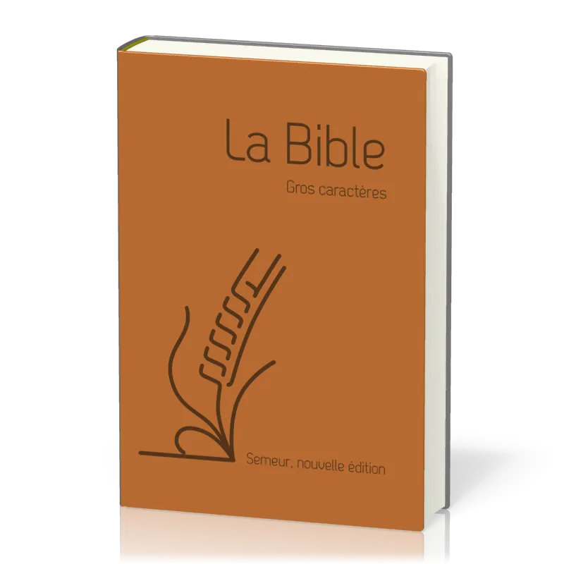 Bible Semeur 2015, gros caractères, couverture souple marron, skyvertex