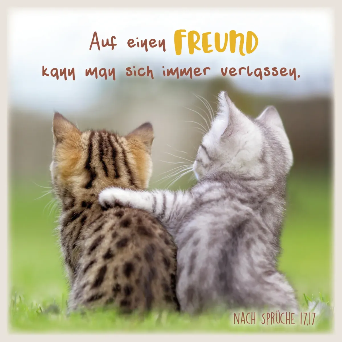 Metalltafel Katzenfreunde - 13 x 13 cm