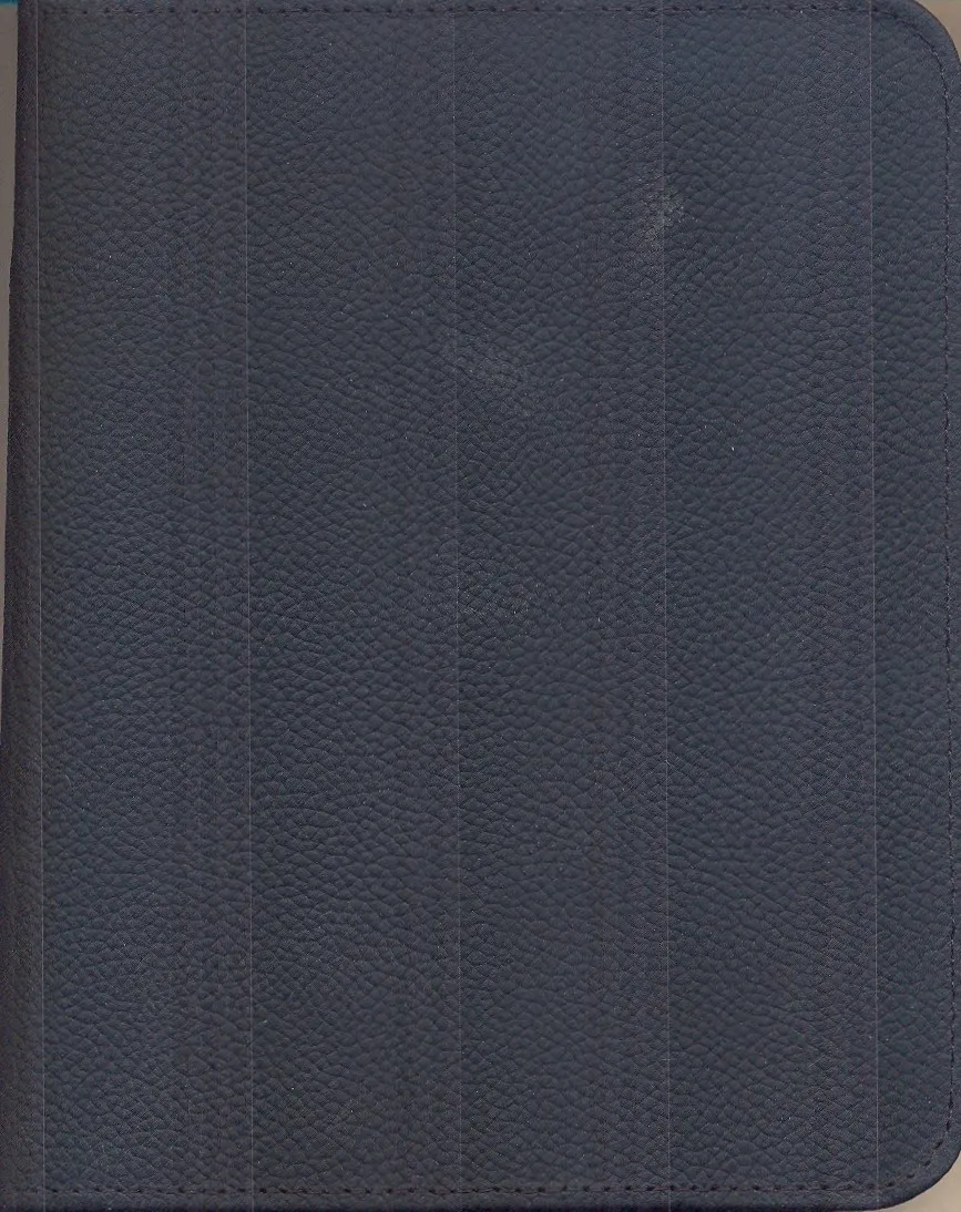 Bibelhülle, Leder schwarz - FF1090/VIE/FC1016