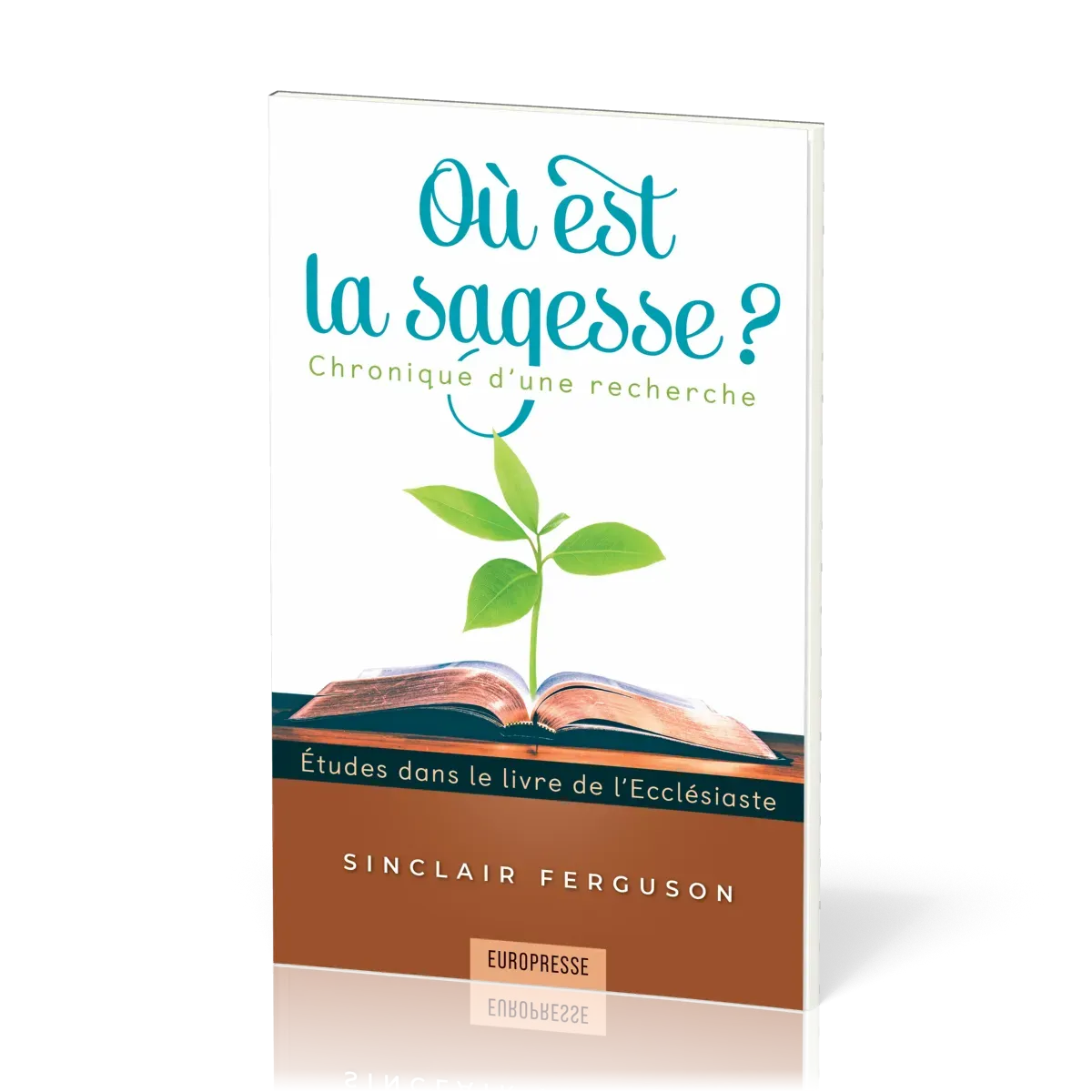 Où est la sagesse?  - Chronique d'une recherche - Études dans le livre de l'Ecclésiaste