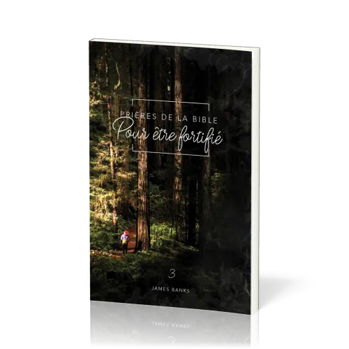 Prières de la Bible - volume 3, Pour être fortifié